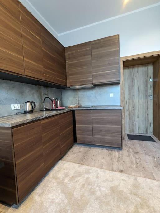 Apartment A4 In Downtown Of Krasków Exterior foto